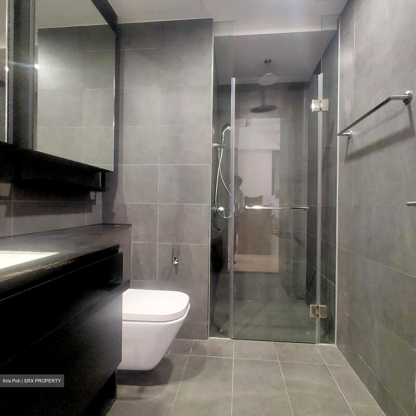 Park Colonial (D13), Condominium #503956551